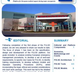 PULSE-Newsletter-Issue-1