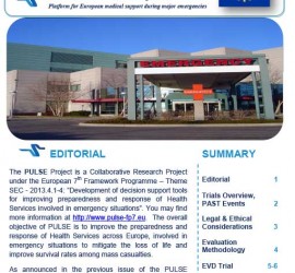 PULSE-Newsletter-Issue-2